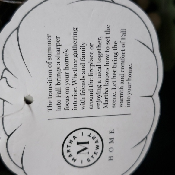 Martha Stewart NWT Pumpkins and Pine Cones Lighted Wreath - Picture 3 of 8